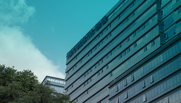 臨湘市油煙凈化器直銷
